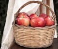 mela proprietà nutrizionista catania